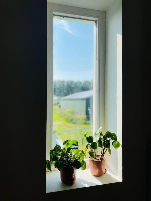 Cozy Appartment On The Farm Loenen aan de Vecht Exterior foto